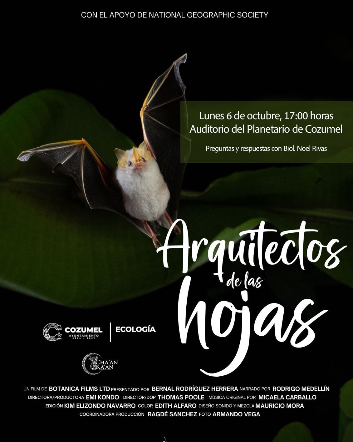 Gobierno de Cozumel invita a toda la comunidad al estreno del documental “Arquitectos de las hojas”