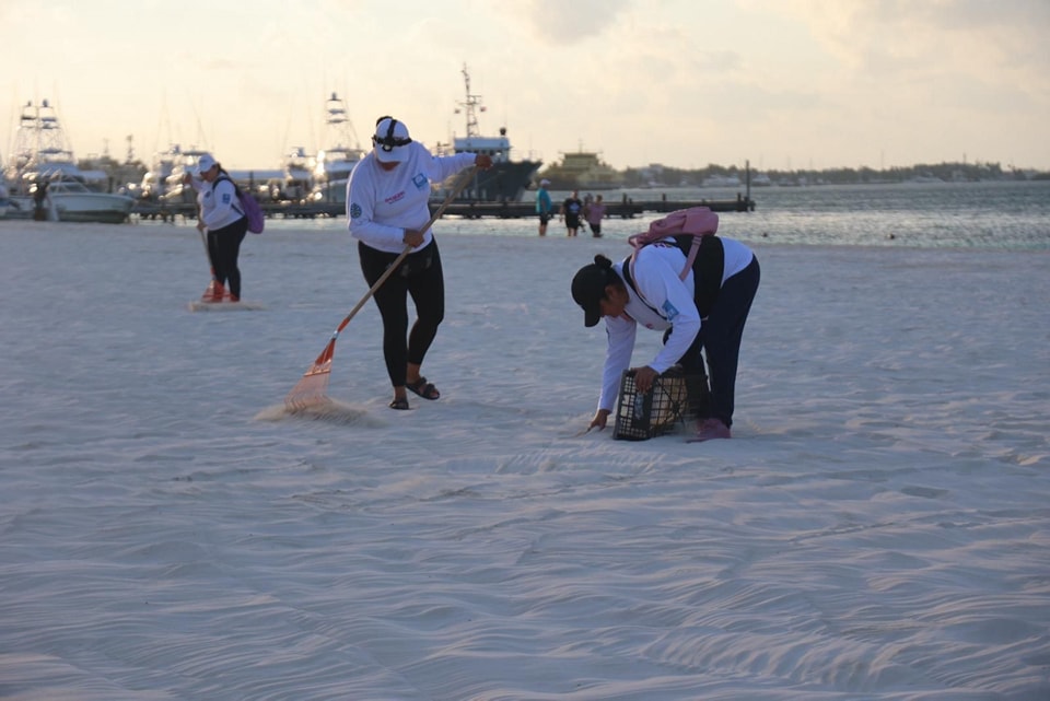 Gobierno Municipal refuerza limpieza de playas a través de Zofemat Isla Mujeres