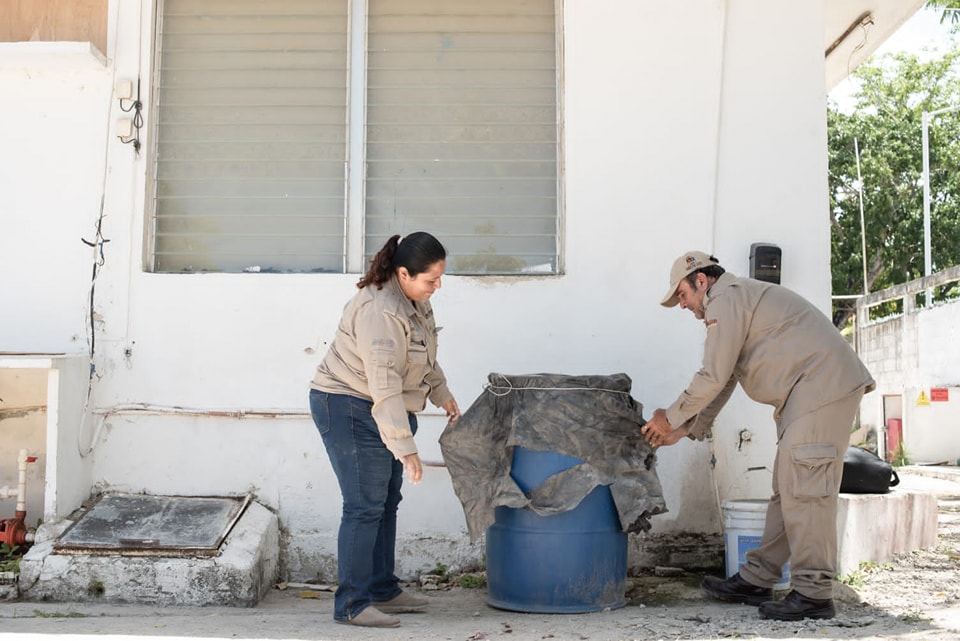 Invita SESA a conservar patios limpios para prevenir el dengue