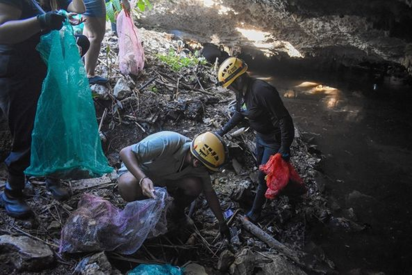 Brigada Juvenil del IQJ encabeza jornada de limpieza del cenote Chipe Encapuchado de Solidaridad