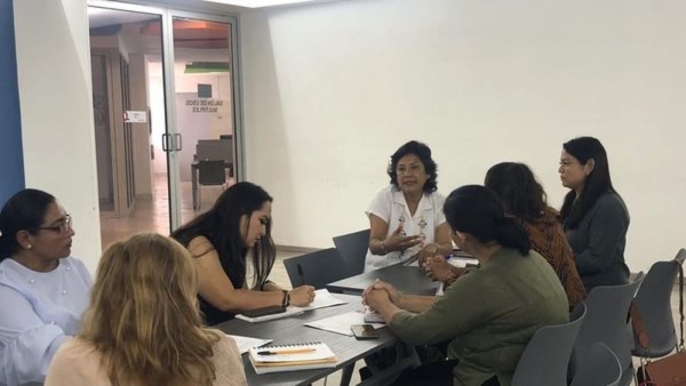 Diseñan plan de trabajo de la Subcomisión de Justicia para Adolescentes: SIPINNA