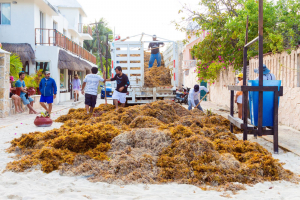 Fortalecen limpieza de playas en Isla Mujeres