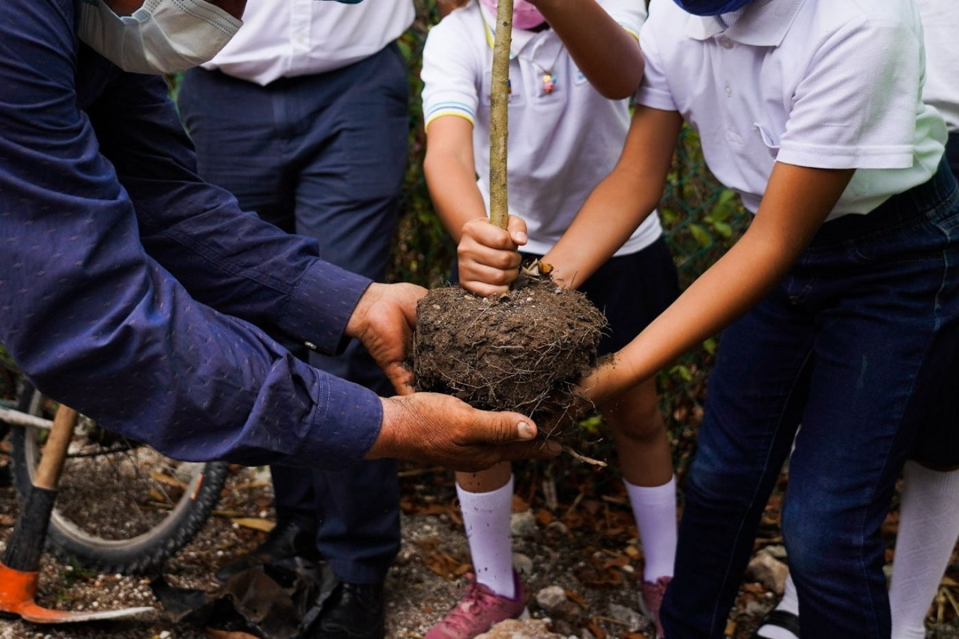 Reforestan para conmemorar el día de la tierra