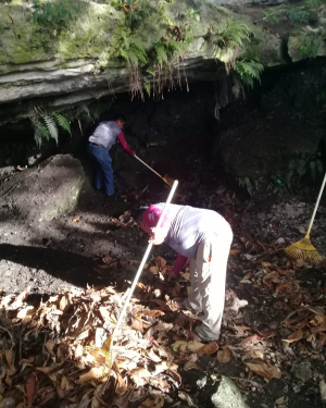 Realizan trabajos de saneamiento del cenote en el Parque Solidaridad