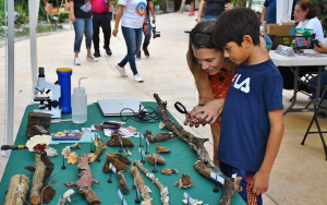 La FPMC llevó a cabo el Festival Infantil “¿Qué hongo con los hongos y algas de Cozumel?”