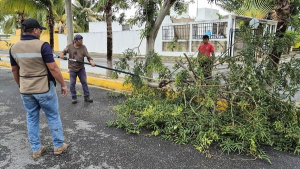 Continúan las intensas labores de limpieza de alcantarillas en Puerto Morelos