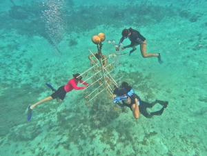 La FPMC involucra a la juventud en la conservación de los corales en Chankanaab