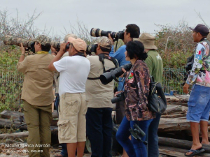 La FPMC recibió a observadores de aves de la Península de Yucatán