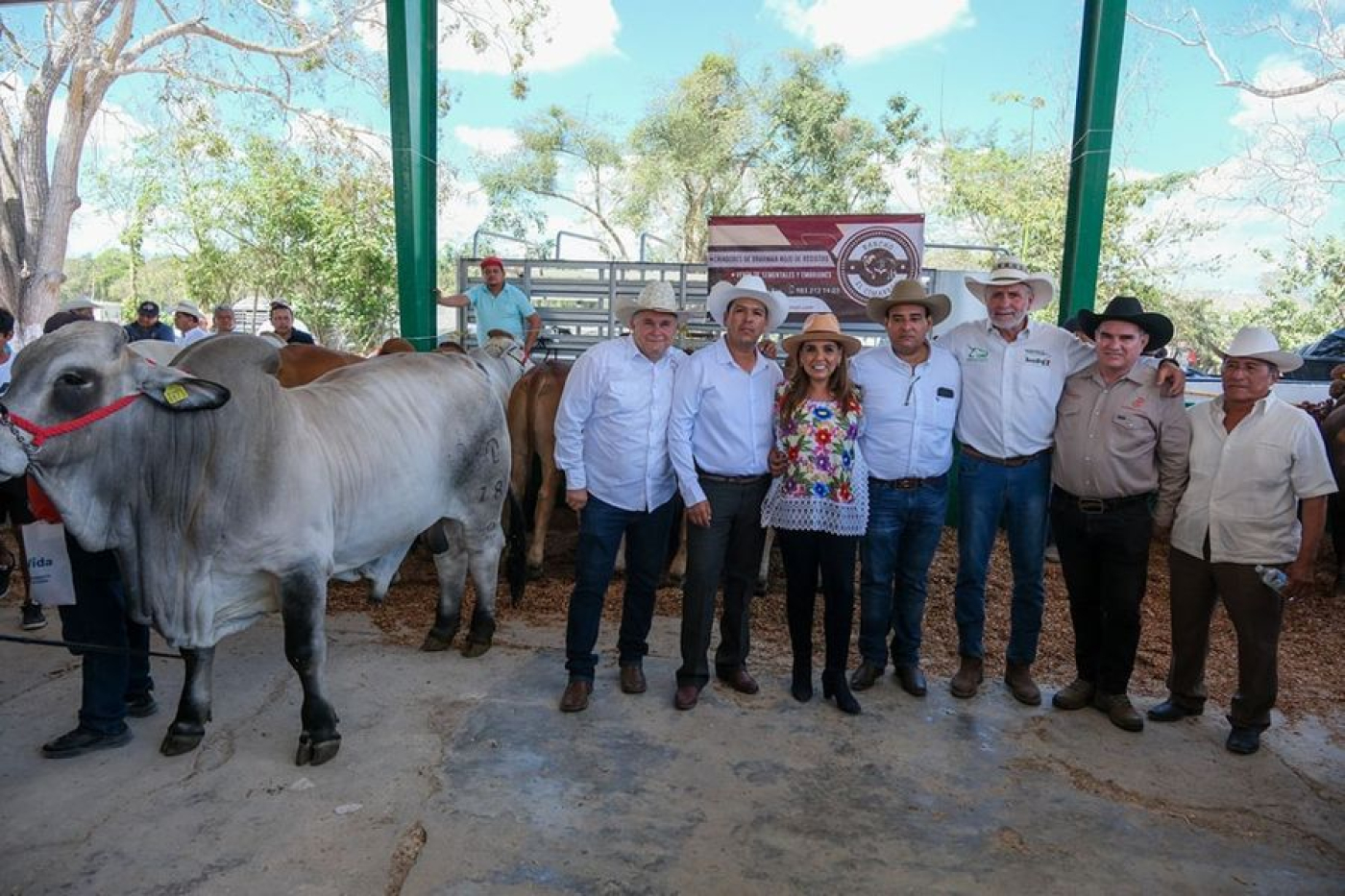 Celebran el Día Nacional de la Ganadería en Quintana Roo