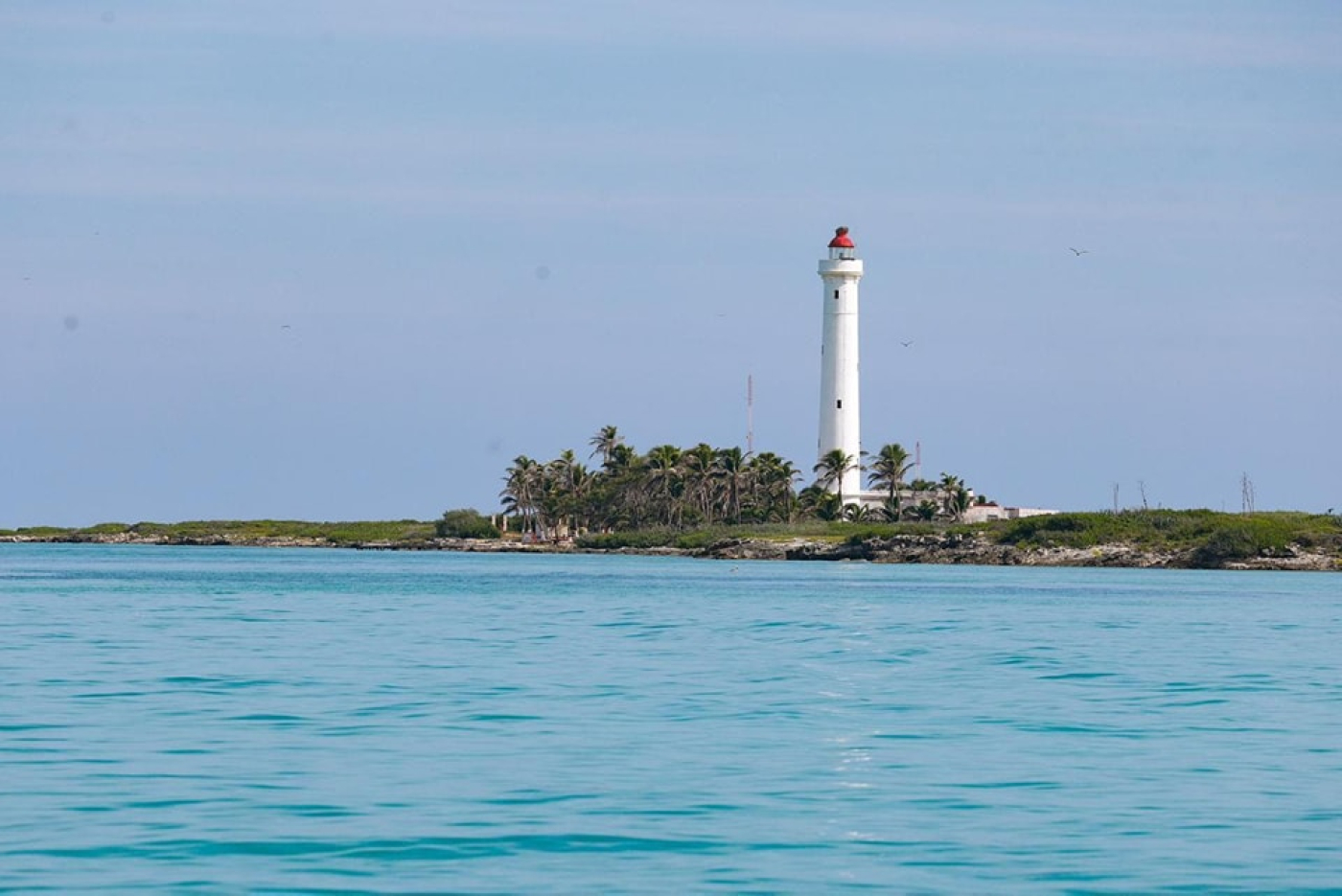 Isla Contoy, una joya inigualable de Isla Mujeres