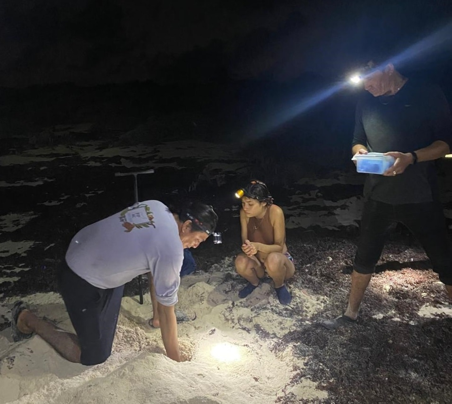 La FPMC tiene ya marcados 29 nidos de tortugas marinas en Punta Sur