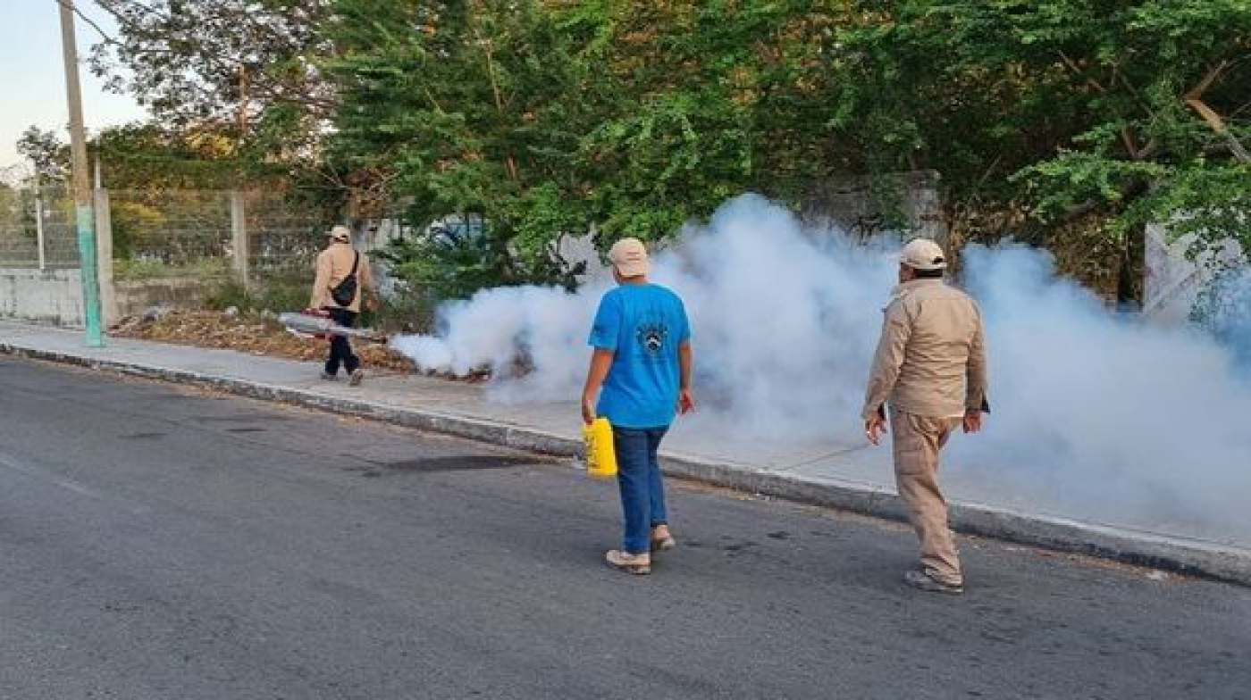 Eliminar criaderos de moscos corta la cadena de transmisión del dengue