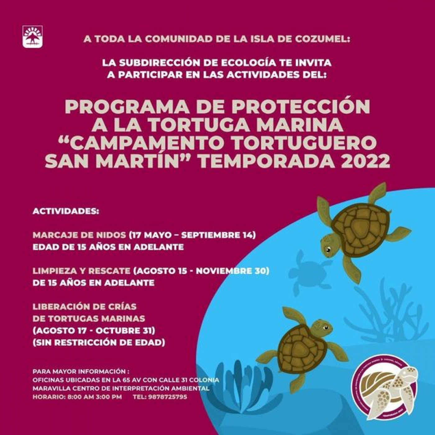 Cozumeleños podrán participar en las actividades de protección a la tortuga marina