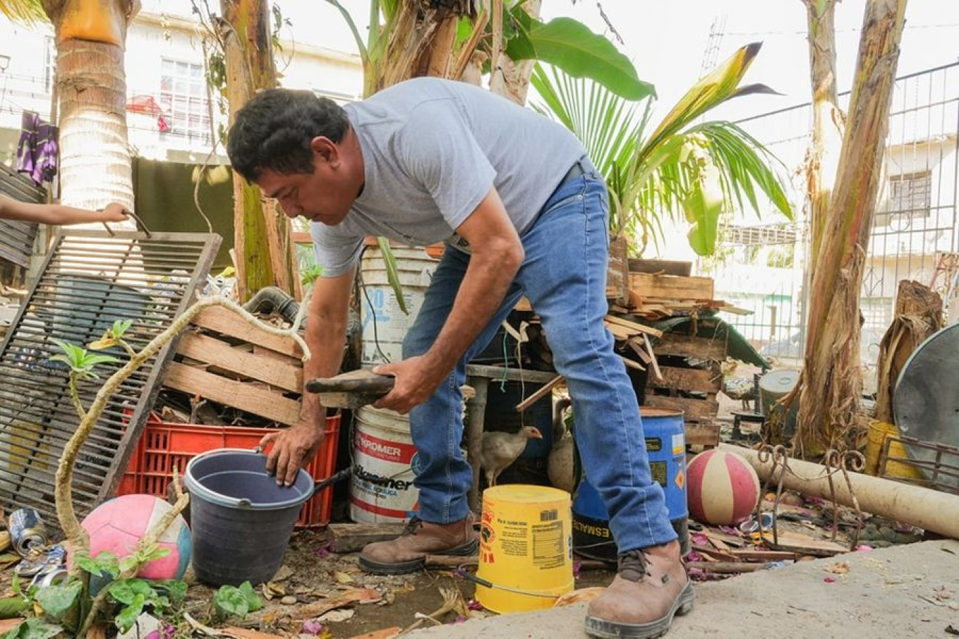 Mantener el patio limpio, la mejor estrategia contra el dengue: SESA