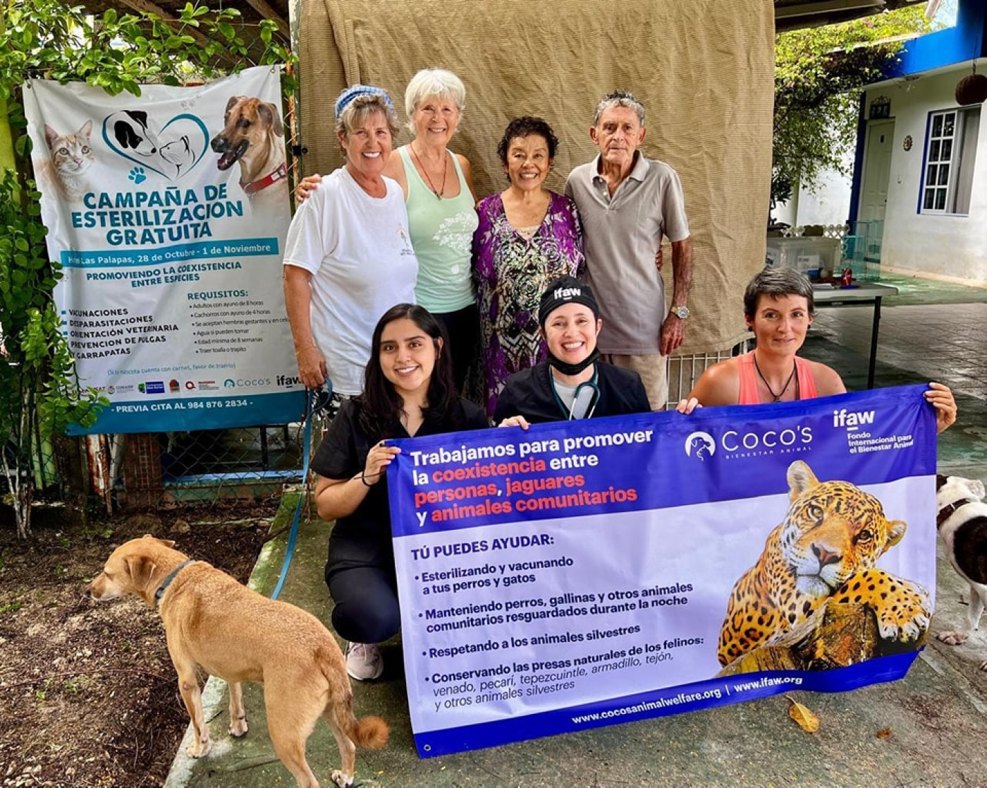 Exitosa jornada de esterilización y atención medica veterinaria gratuita, en Punta Allen: IBANQROO