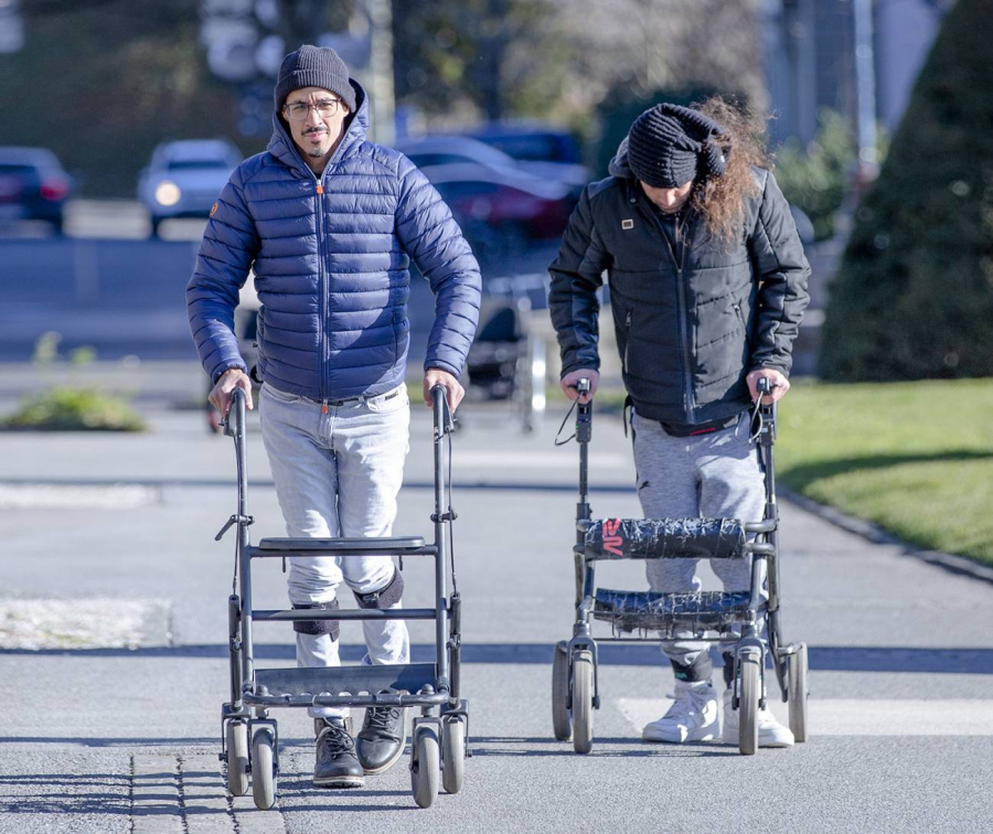 Identifican las neuronas que restauran la capacidad de caminar tras una parálisis