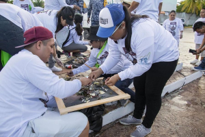 Convocan al voluntariado para participar en limpieza de playas en Cozumel