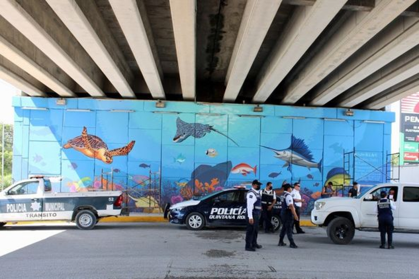 Ponen en marcha campaña &quot;Abrazando tu vida&quot;, en Puerto Morelos