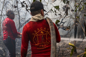 Atienden en Cancún tres incendios forestales, más de mil hectáreas afectadas