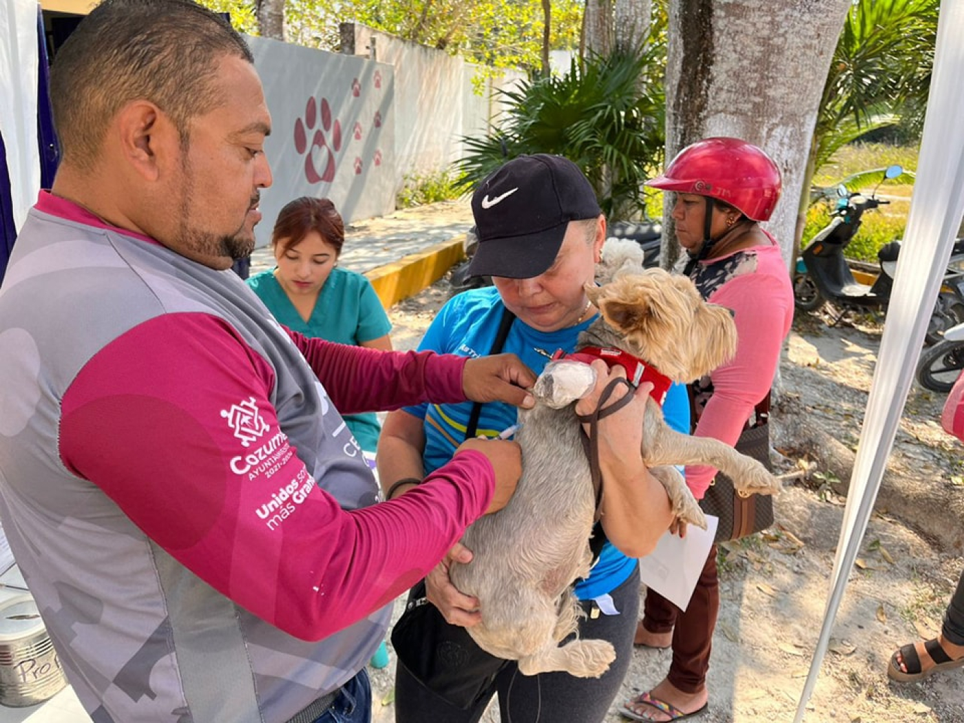 Gobierno de Juanita Alonso realizará jornada de vacunación y desparasitación canina y felina