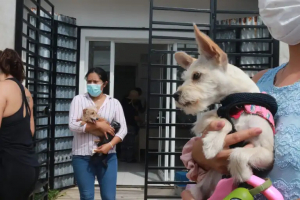 Anuncian jornada de desparasitación canina en la explanada del ayuntamiento de Cancún