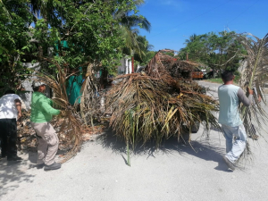 Retiran 4.5 toneladas de residuos verdes en la colonia Félix González Canto