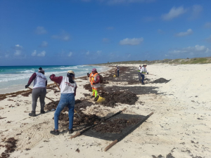 Gobierno de Cozumel supera en un 16.21 por ciento la recaudación de ZOFEMAT