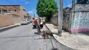 Se intensifican acciones para evitar la proliferación de los moscos