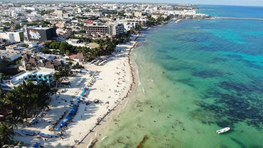 Solidaridad mantiene playas atractivas en plena temporada de sargazo