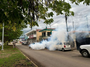 Continúa el operativo de combate al dengue en todo Chetumal