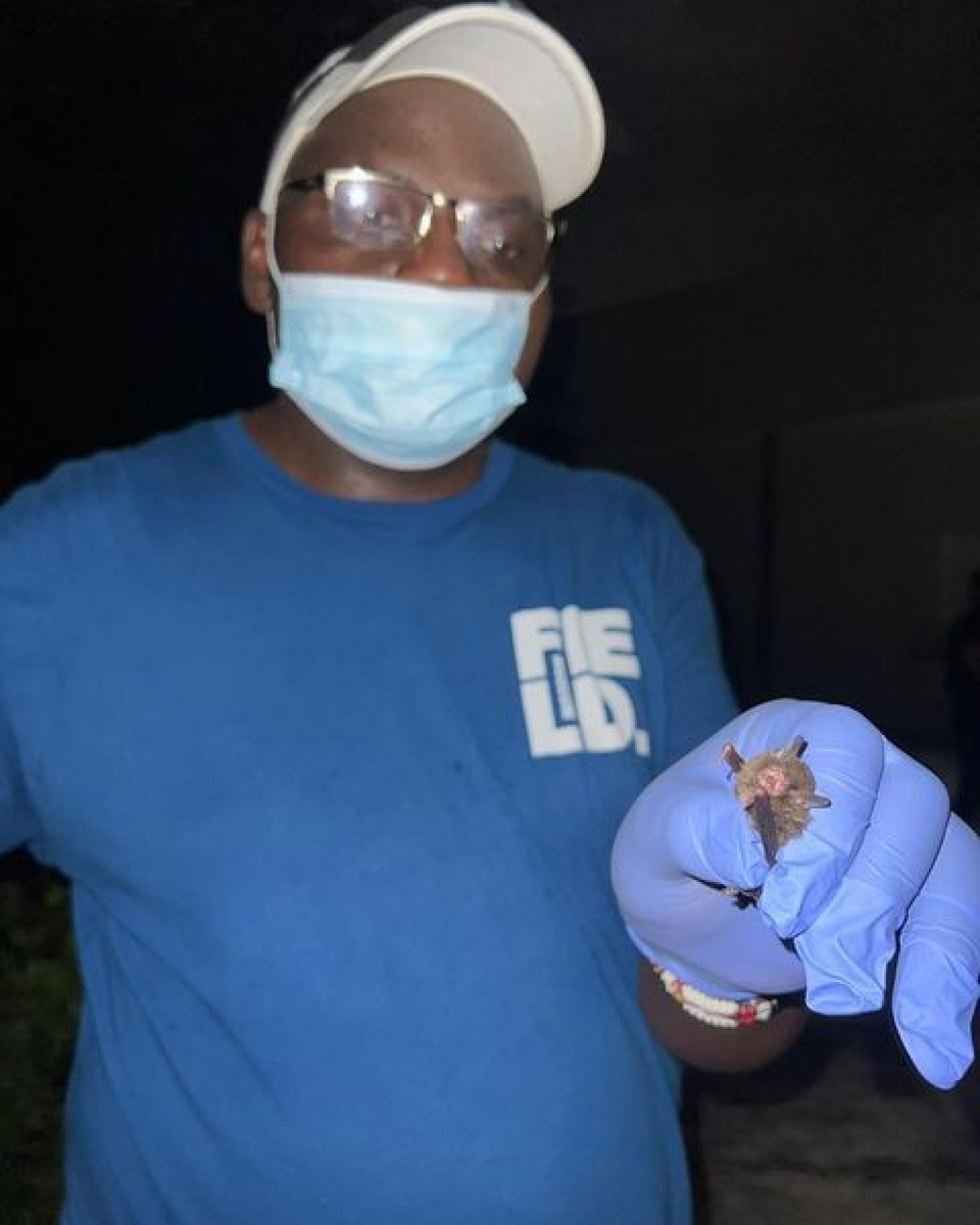 La FPMC intercambia experiencias con investigadores de murciélagos de Kenia