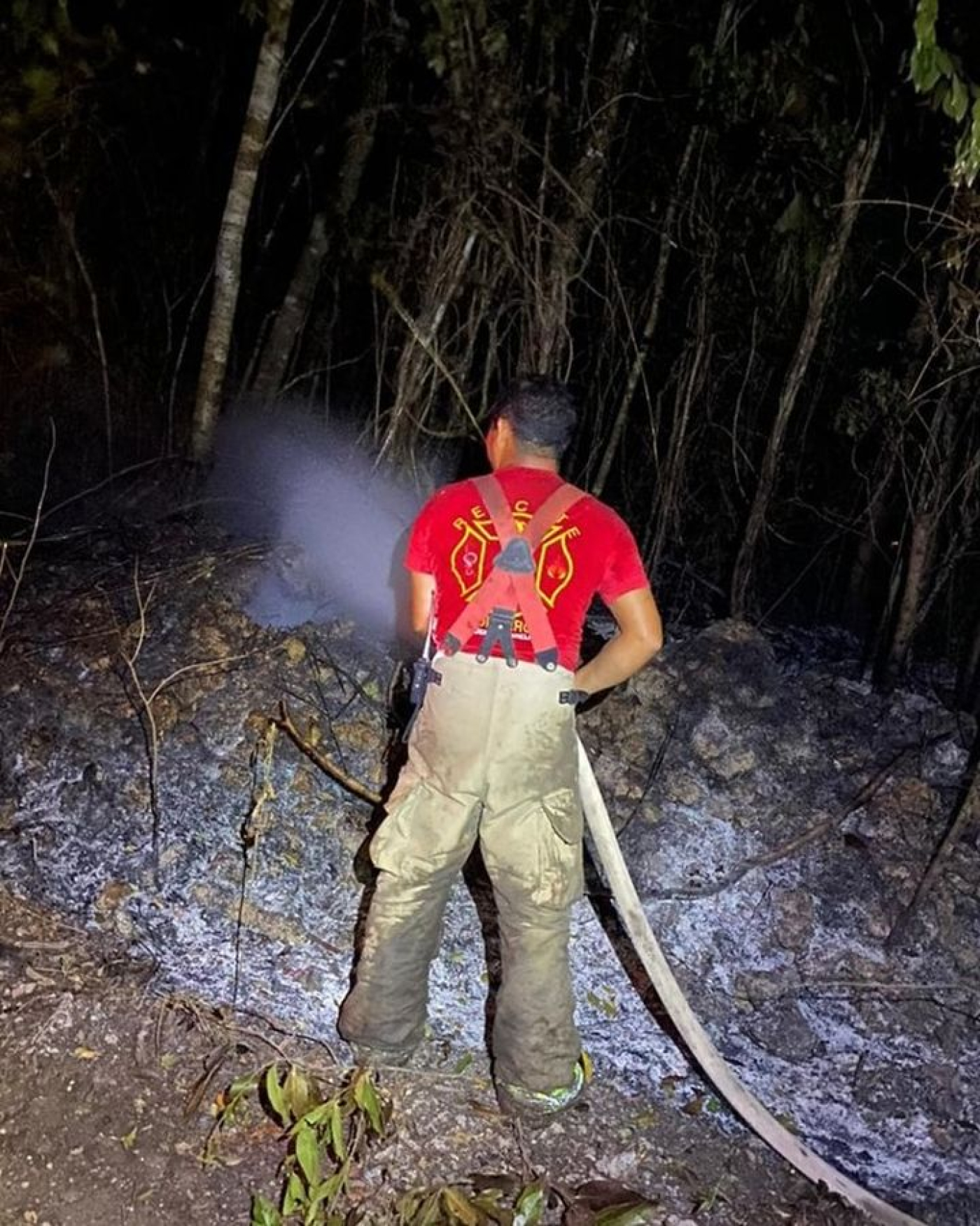 Sofocado, el incendio forestal en Puerto Morelos