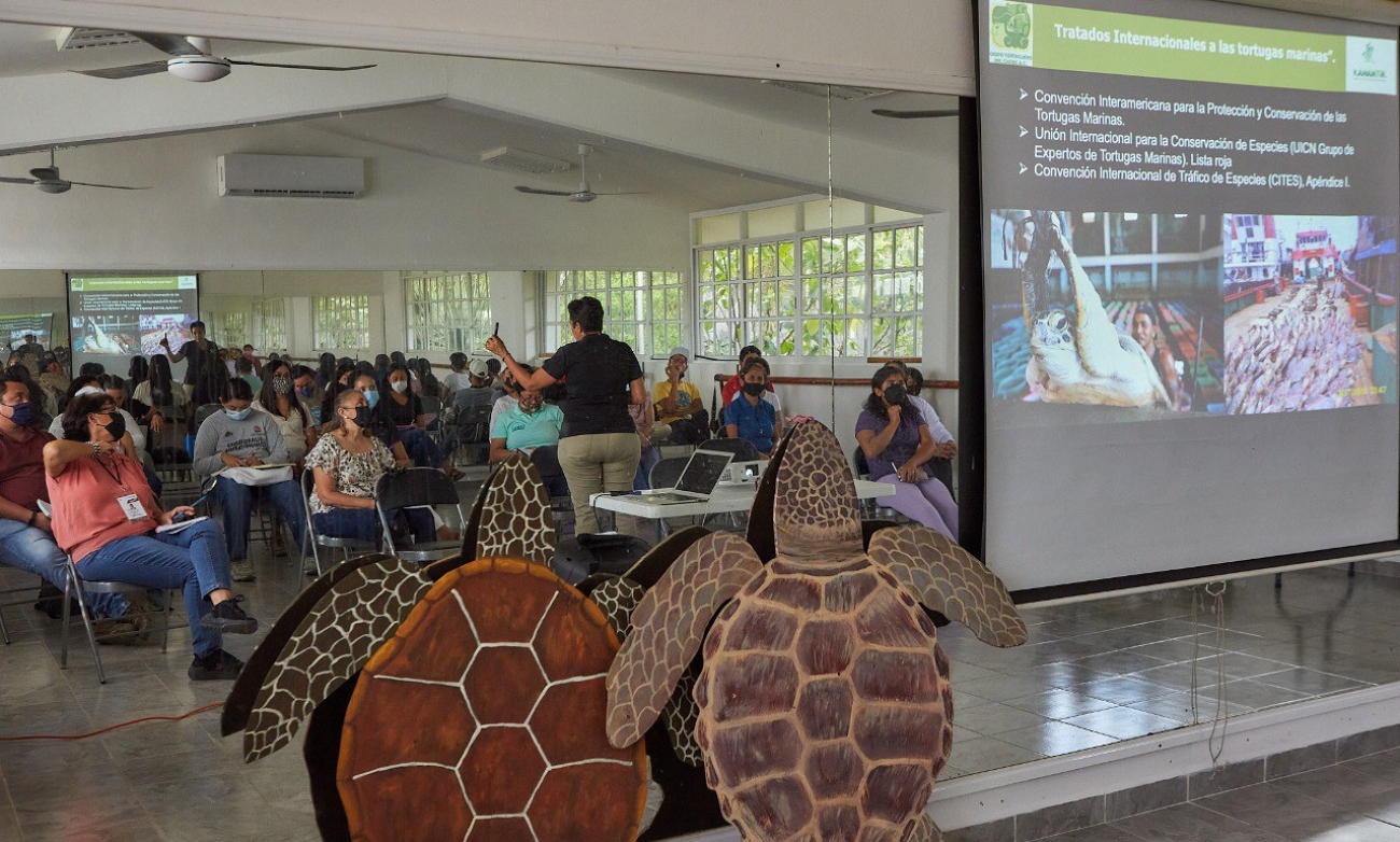 Brigadistas se preparan para el inicio de la temporada de anidación de tortuga marina