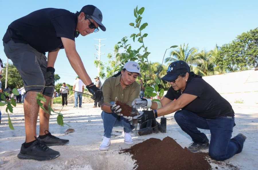 Encabeza Blanca Merari, jornada de mega arborización en Puerto Morelos