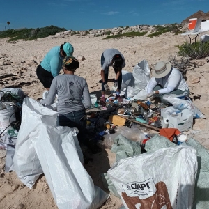 Suman esfuerzos para la preservación con Mega Jornada de Limpieza de Playas