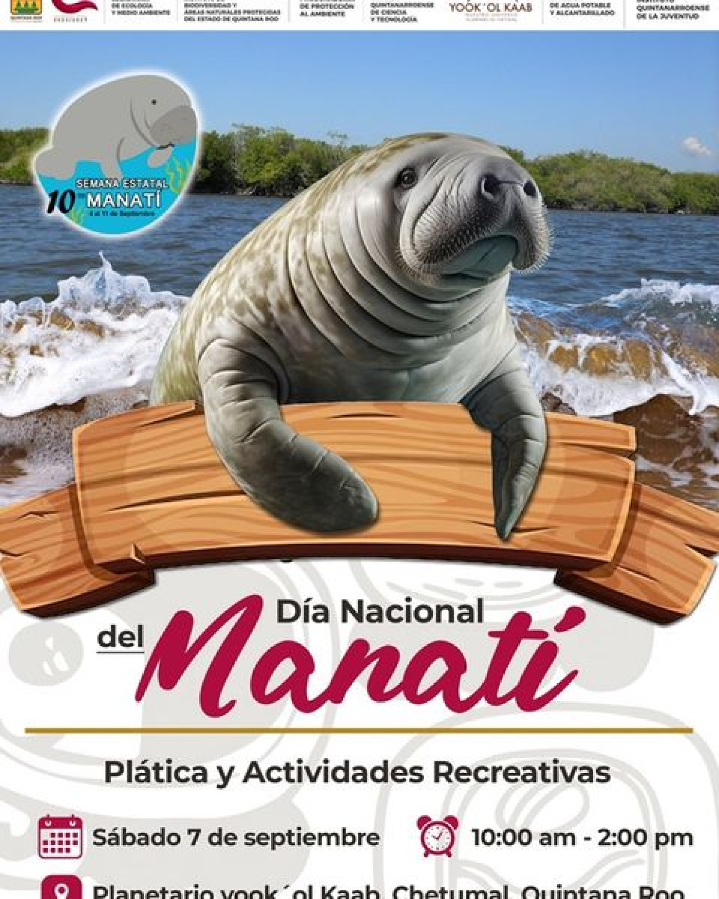 SEMA invita a conmemorar el Día Nacional del Manatí