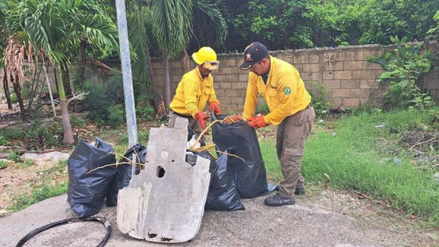 Concluye Temporada de Incendios Forestales en Quintana Roo: SEMA