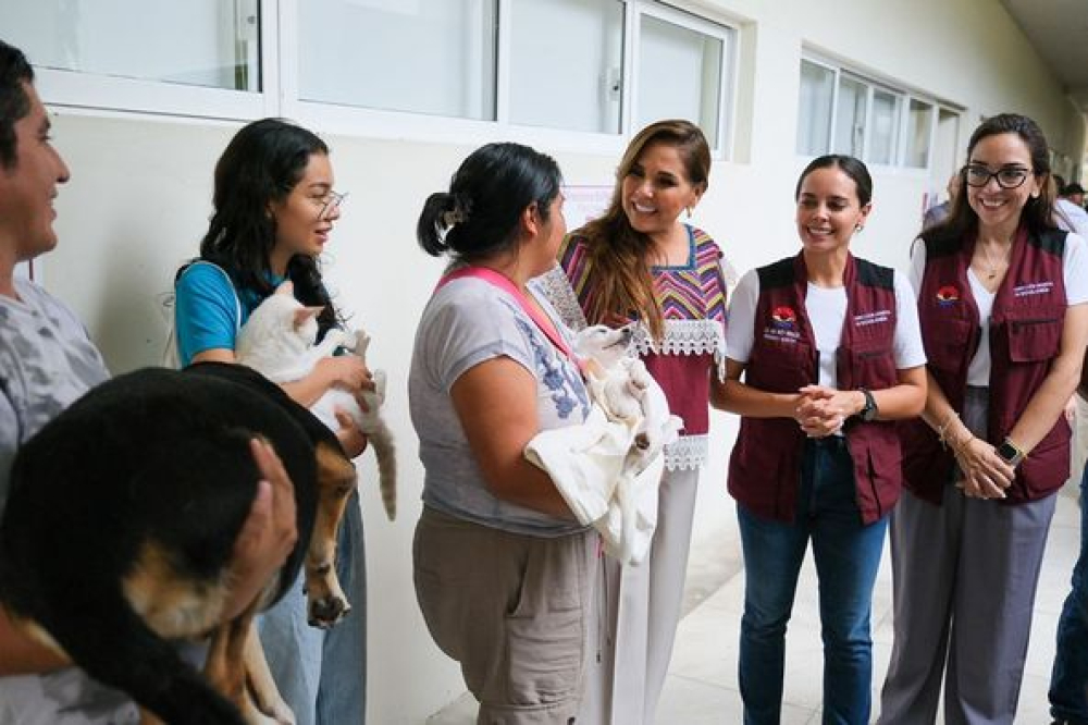 Mara Lezama promueve campaña de esterilización gratuita para perros y gatos en Cancún