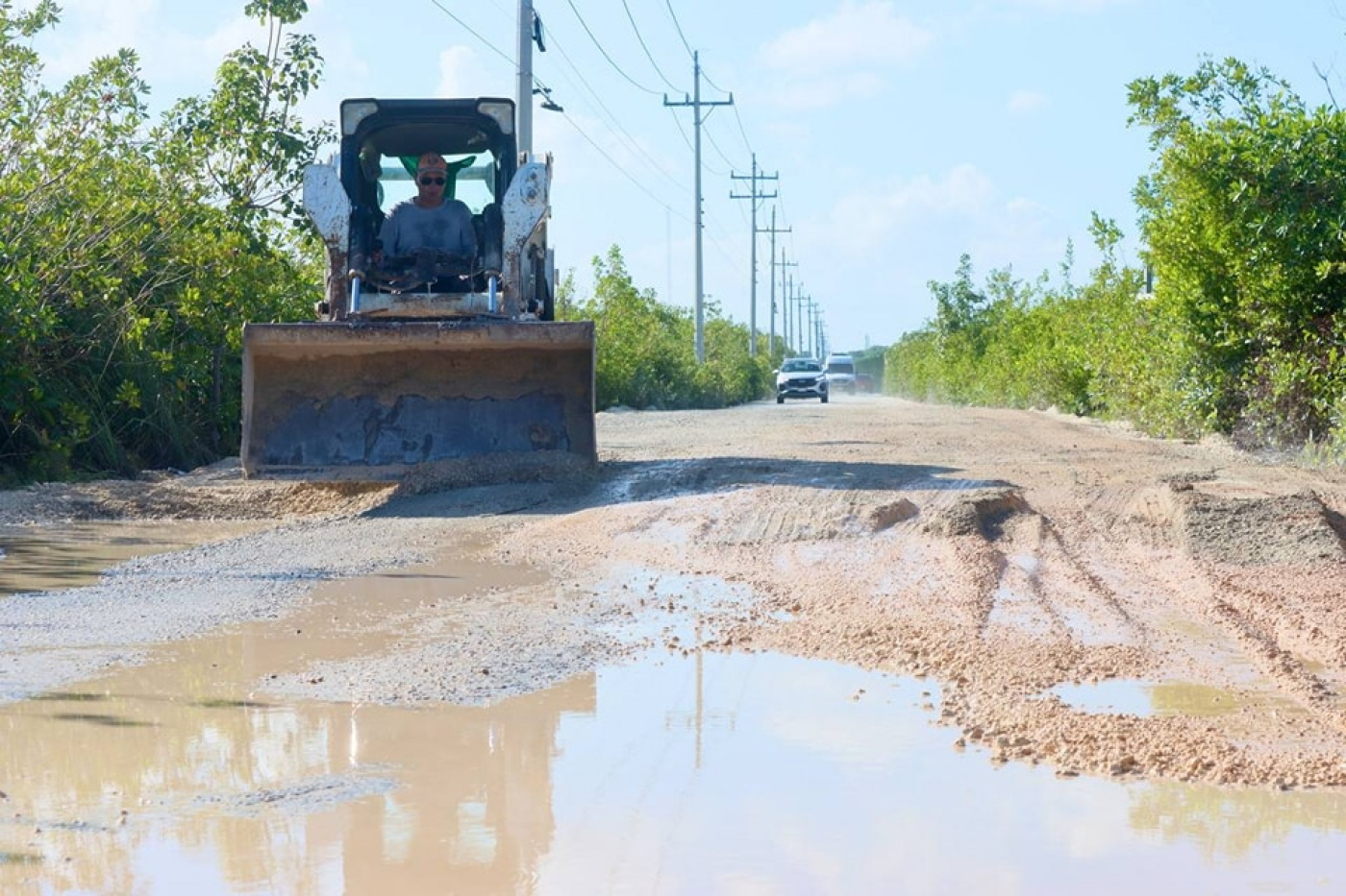 Avanza construcción del primer Centro de Bienestar Animal en Isla Mujeres