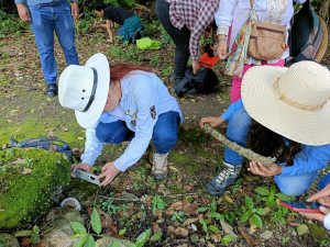 Investigadores del IPN realizan importantes descubrimientos en la Reserva de la Biósfera Isla Cozumel