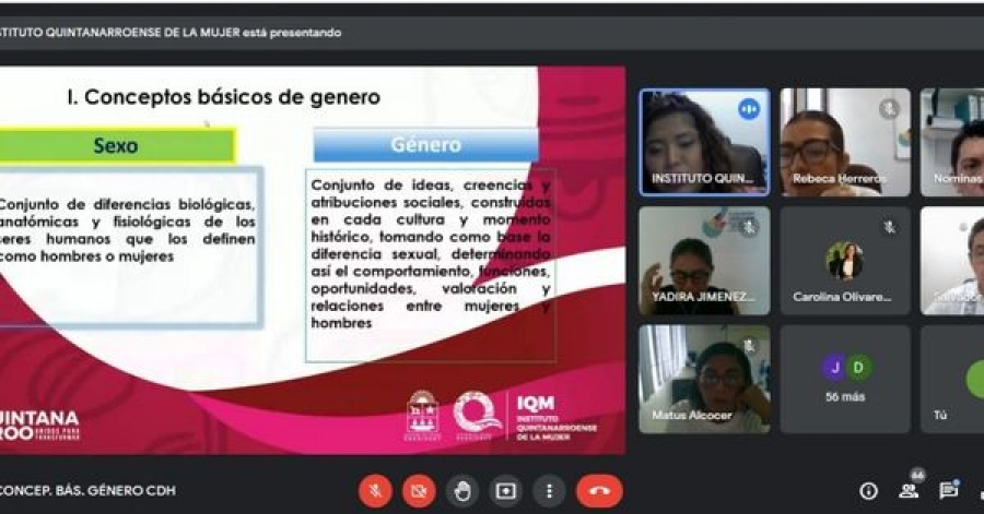 IQM capacita a personal de la CDHEQROO sobre Género e Igualdad Sustantiva