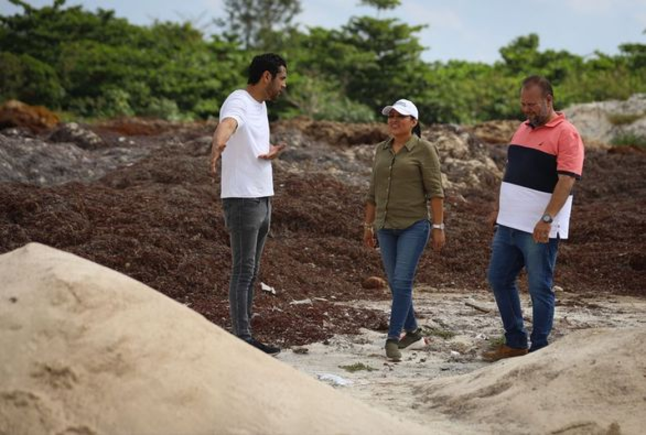 Supervisa Blanca Merari Tziu zona de destino final del Sargazo