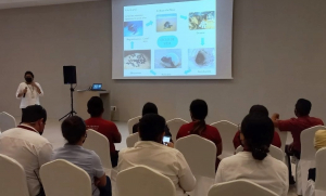 Educación ambiental para la conservación de las tortugas marinas en Quintana Roo