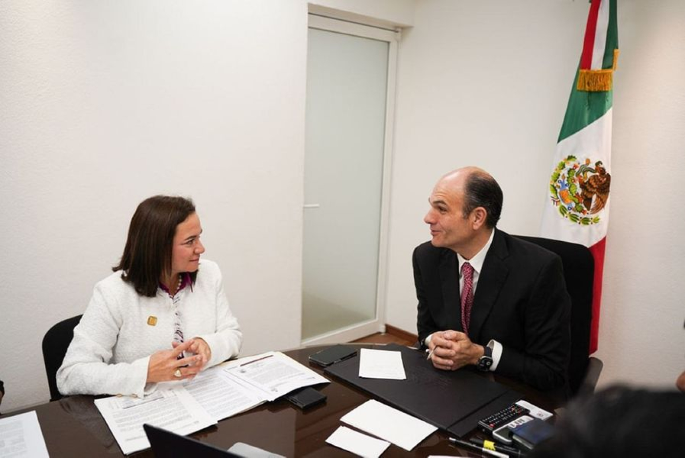 Juanita Alonso gestiona recursos para Cozumel en la Cámara de Diputados del Congreso de la Unión