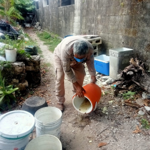 Cozumel se suma a la Primera Jornada Nacional de Lucha Contra el Dengue 2024