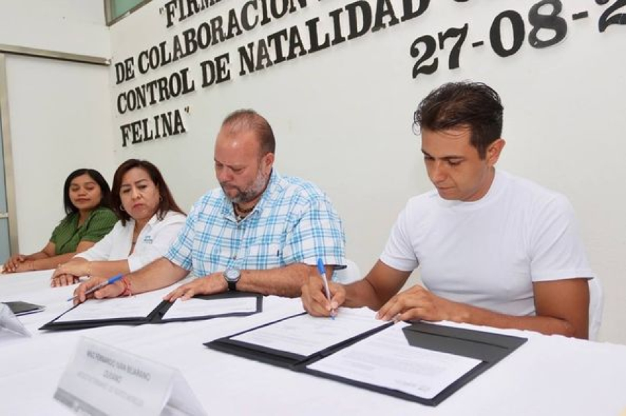 Firman convenio de colaboración para esterilización felina y canina en Puerto Morelos