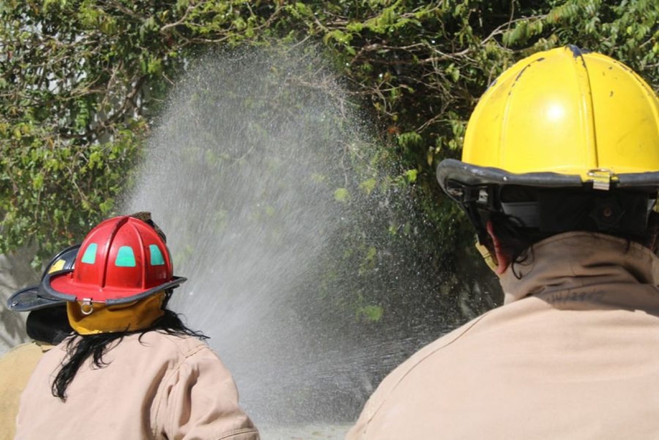 Enfocan esfuerzos para prevenir incendios forestales por sequía en Puerto Morelos