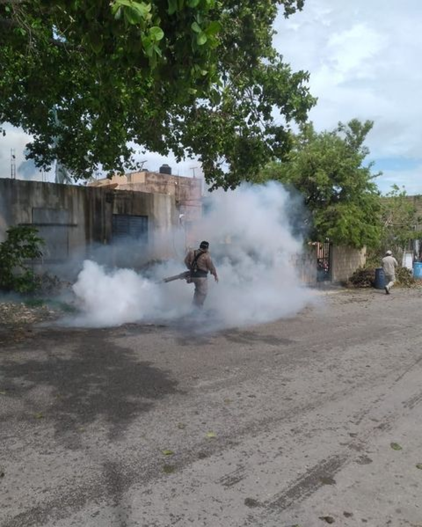 SESA despliega amplio operativo de prevención contra el dengue