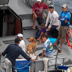 Rescatan con éxito a pescadores y mascota de Cozumel extraviados en el mar