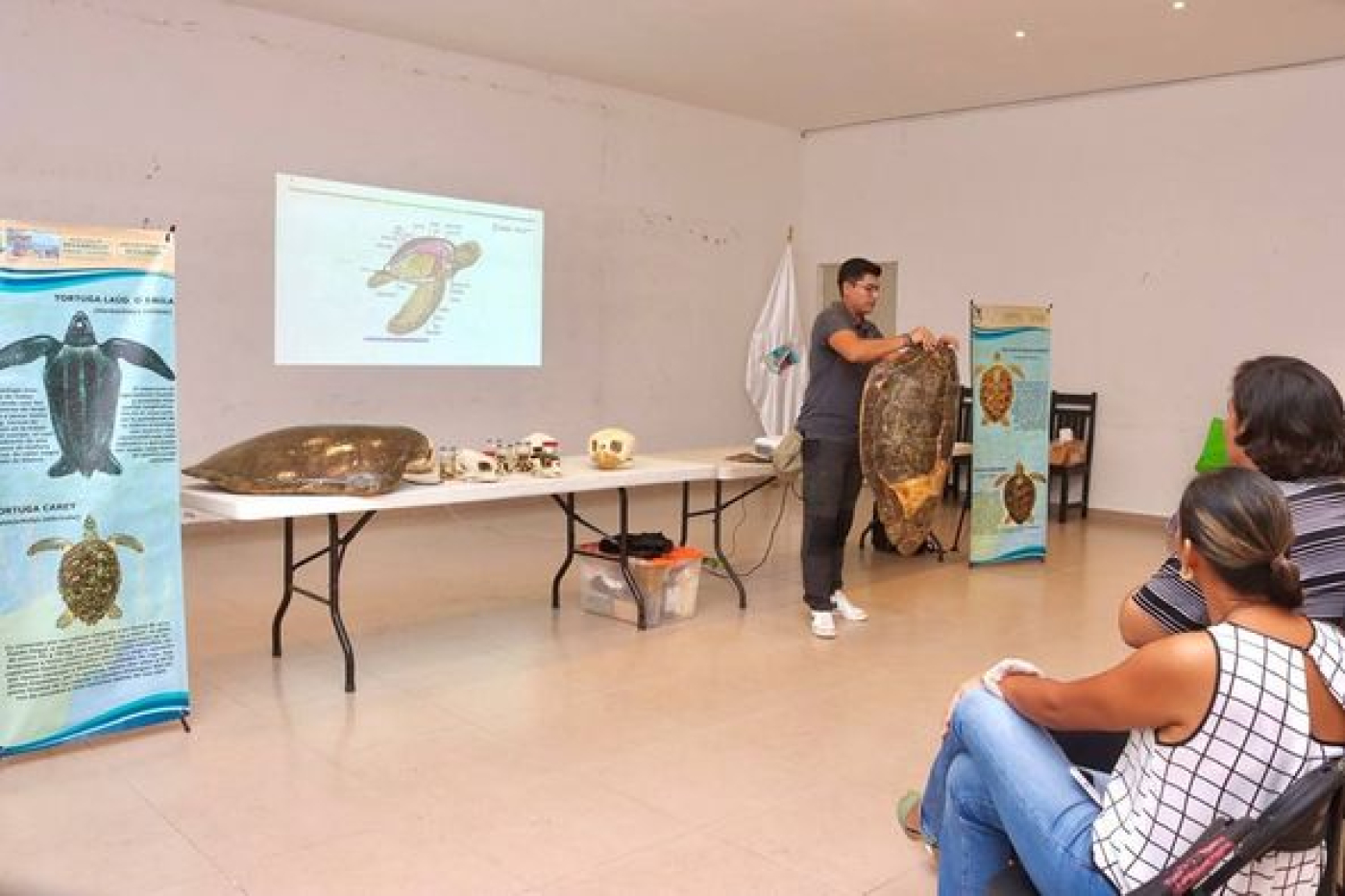 Imparten plática sobre protección a la tortuga marina en Puerto Morelos